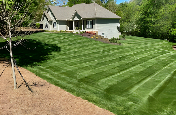 Well-maintained lawn with striped mowing pattern in front of a suburban house.